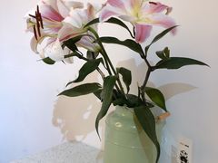 -茶力的小怪兽(梅林卓悦汇店)