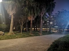 -光明港公园