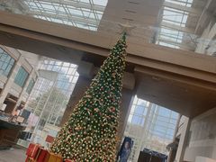 -上海外滩茂悦大酒店