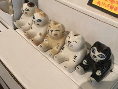-猫咪博物馆(顶澳仔猫街店)
