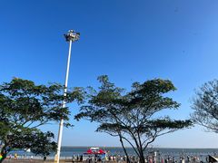 -碧海金沙