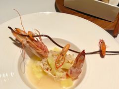 -FOUNT创意日料