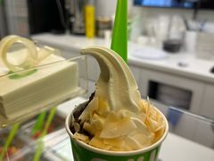 -Salud撒露欧洲冻酸奶(蓝色港湾店)