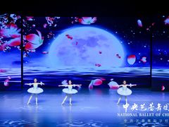 -中央芭蕾舞团·中芭艺蕾(酒仙桥明星校区)