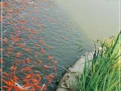 -西海子公园