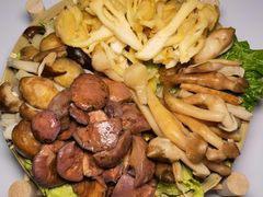 -菌极鲜野生菌火锅店(阳明祠店)