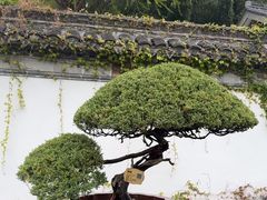 -水绘园