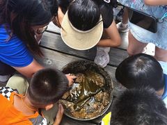 -南丫岛