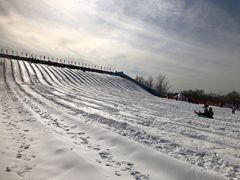 -绿野森林乐园冰雪季