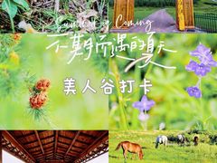 -百里天路