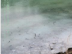 -长春净月潭风景名胜区