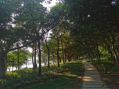 -深圳湾公园(南山区)