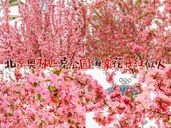 -北京奥林匹克公园