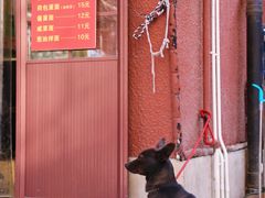-小桃园餐厅