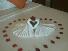 android_upload_pic-三亚湾红树林度假世界(木棉酒店)