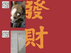 -荣耀金沙动物医院(清江西路店)