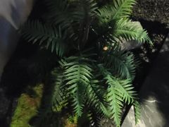 -唐宫足道·SPA·住宿24H会所(木渎店)