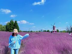 -羊亭河湿地公园