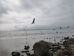 -深圳湾公园(南山区)