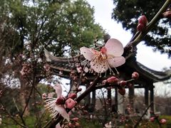 -无锡梅园公园