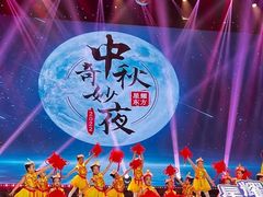 -小荧星艺校(浦东中环分校)