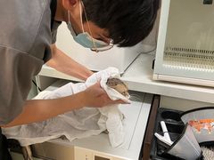 -沐沐家宠物(成寿寺店)