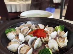 蛤蜊肉丸-温岭人家(红花北路店)