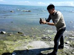 -青海湖国家重点风景名胜区