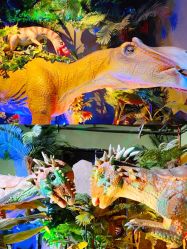 -恐龙探索乐园(磁器口店)