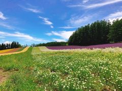 -富田农场