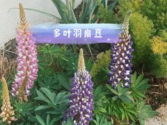 -中山公园
