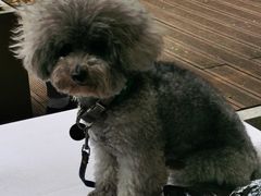 -默迹咖啡馆