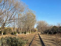 -永定河休闲森林公园