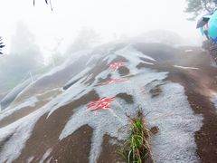 -玉苍山国家森林公园