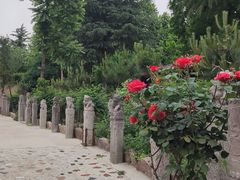 -西安关中民俗艺术博物院