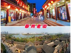 -溱湖国家湿地公园