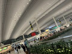 -广州白云国际机场-T2航站楼