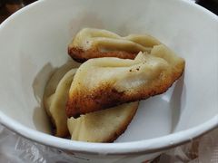 -洋洋锅贴