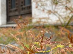 -惠山古镇·寄畅园