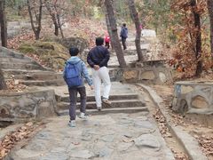 -北京鹫峰国家森林公园
