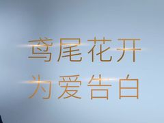 -万达广场(南京江宁店)