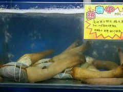 -蚝专家(北滘店)