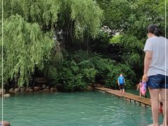 -大鹅岛绿色生态美食园