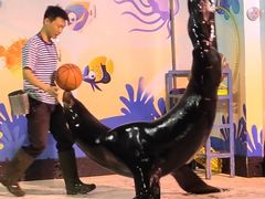 -太平洋海底世界