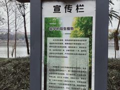 -眉山湿地公园(东坡区)
