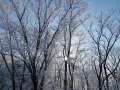 -中旅松花湖滑雪场