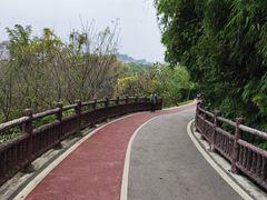 -花溪公园