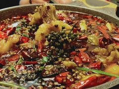 -日进一片海.生腌海鲜火锅.宵夜烧烤(三里屯总店)