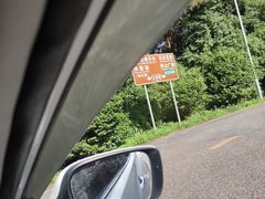 -铁山坪森林公园