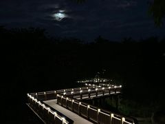 -广东花都湖国家湿地公园